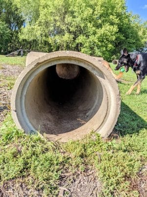 River Road Dog Park