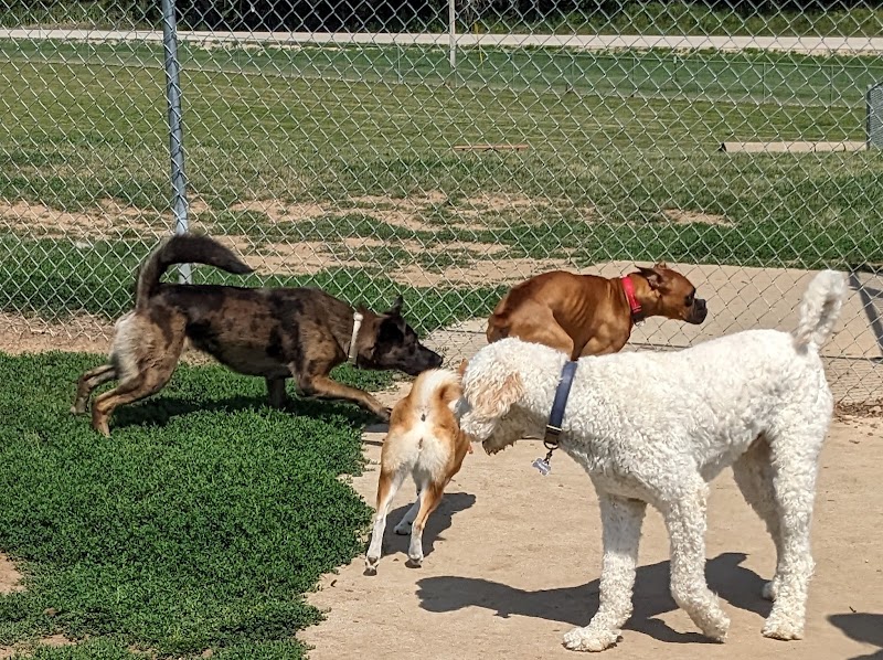 River Road Dog Park - Rochester, MN