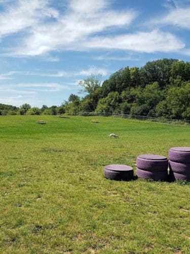 Rochester Dog Park - North