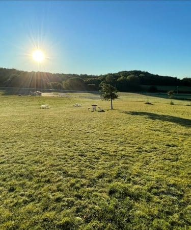 Rochester Dog Park - North