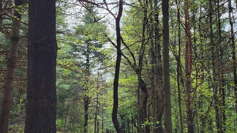 Mountain Bike Staging Area - Stony Creek - Rochester,