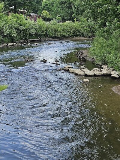 Rochester Municipal Park - Rochester,