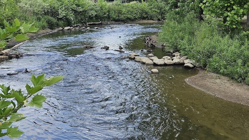 Rochester Municipal Park - Rochester,