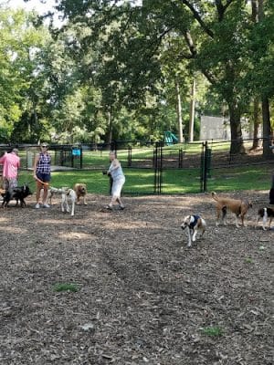 Spencer Park Dog Park