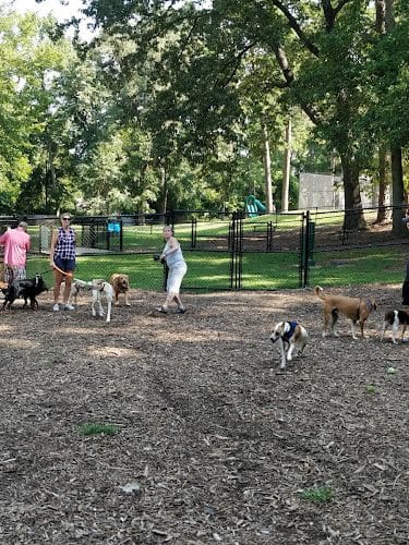 Spencer Park Dog Park