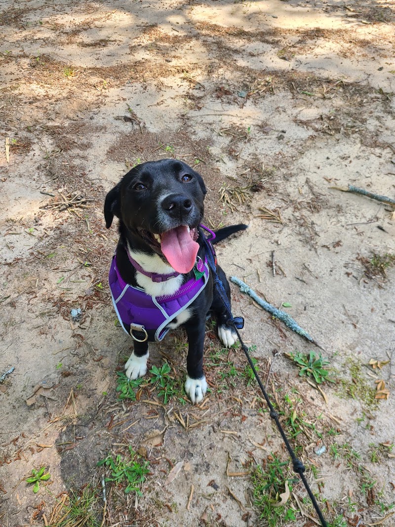 Spencer Park Dog Park - Rock Hill, SC