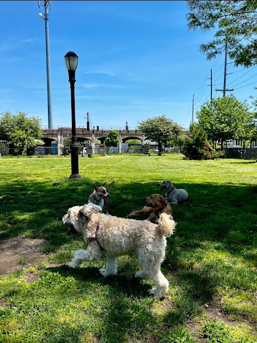 Tail Waggers Task Force