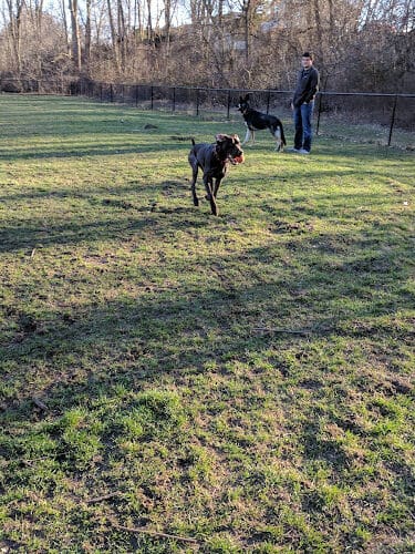 Rockford Dog Park - Rockford, MI