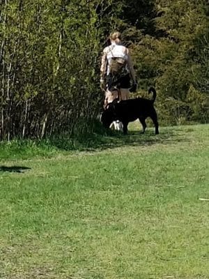 Lake Sarah Dog Park