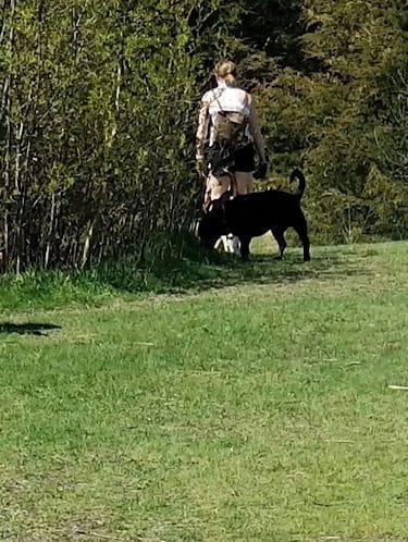 Lake Sarah Dog Park