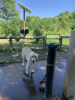 Lake Sarah Dog Park