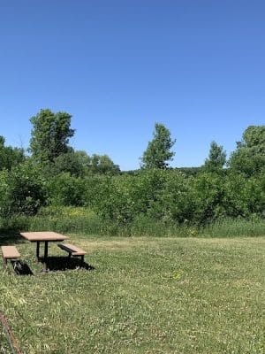 Lake Sarah Dog Park