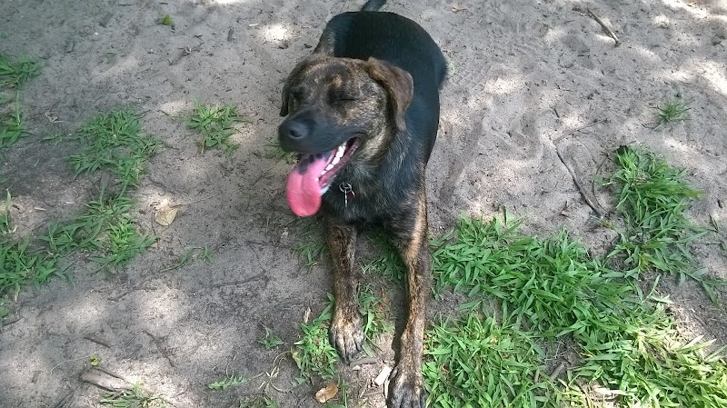 Rockford Dog Park - Rockford, MI