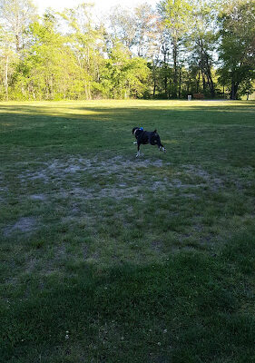 Harold Walker Memorial Park