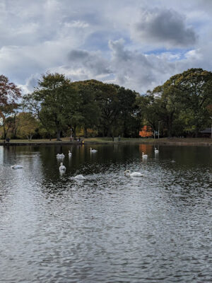 McDonald Pond