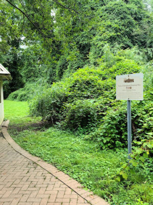 Tanglewood Preserve