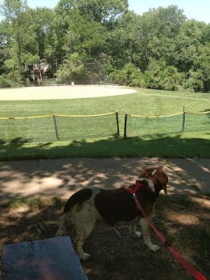 Dogwood Park - Rockville, MD