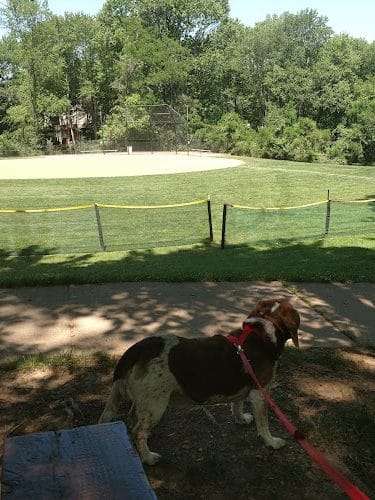 Dogwood Park - Rockville, MD