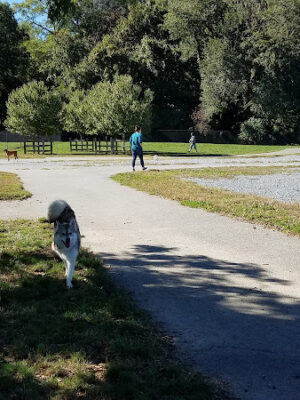 Mattie Stepanek Dog Park