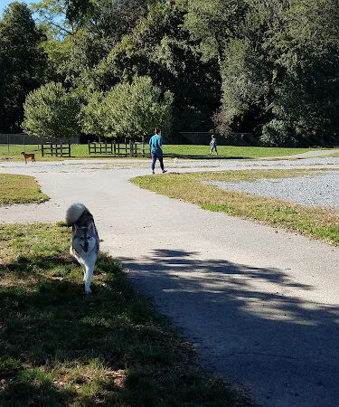 Mattie Stepanek Dog Park