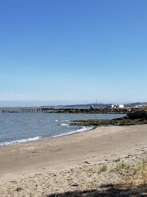 Lone Tree Point