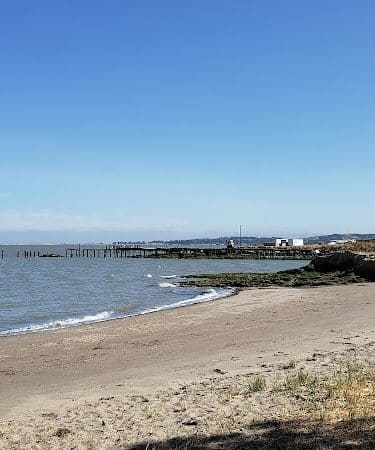 Lone Tree Point