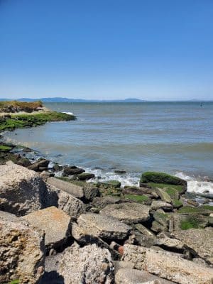 Lone Tree Point