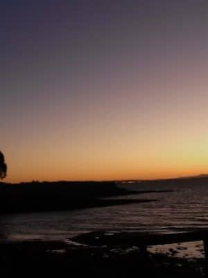 Lone Tree Point