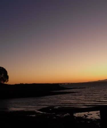 Lone Tree Point
