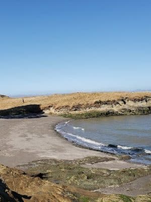 Lone Tree Point