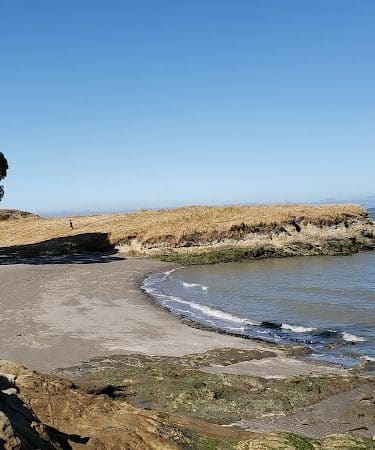 Lone Tree Point