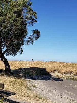 Lone Tree Point