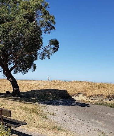 Lone Tree Point
