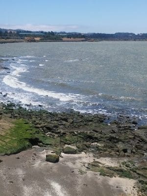 Lone Tree Point