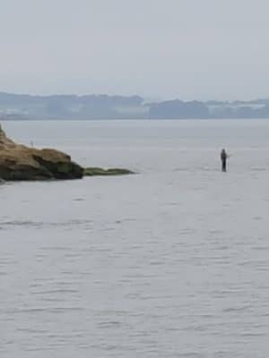 Lone Tree Point