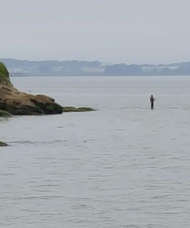 Lone Tree Point