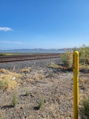 Lone Tree Point