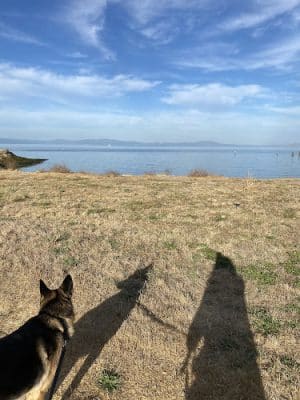 Rodeo Beach