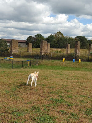 Florence Township Dog Park