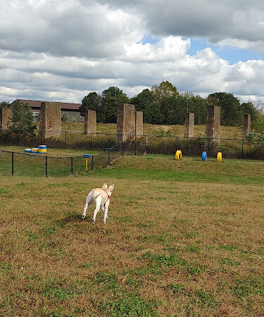 Florence Township Dog Park