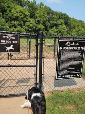Lake Atlanta Dog Park