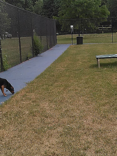 Elmer Johnson Park