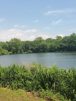 Reverend Arthur Mackey Park