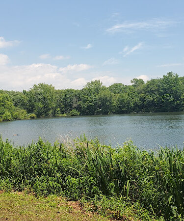Reverend Arthur Mackey Park