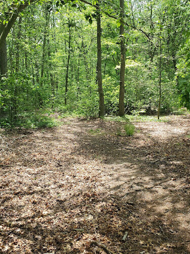 Roosevelt Preserve