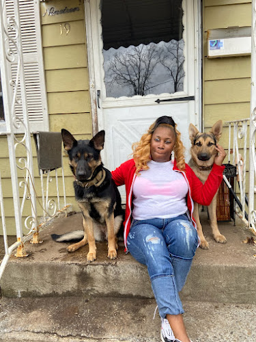 Tiffany's pups on wheels