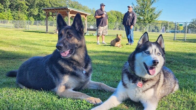 Markey Memorial Dog Park - Roscommon, MI