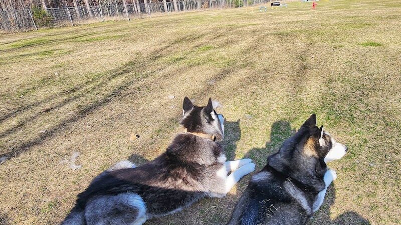 Markey Memorial Dog Park - Roscommon, MI
