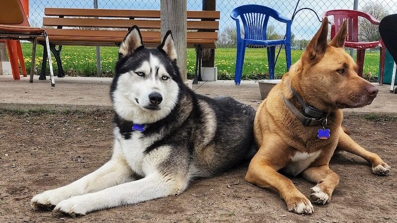 Markey Memorial Dog Park - Roscommon, MI