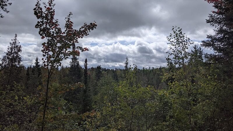 Mason Tract - Roscommon,